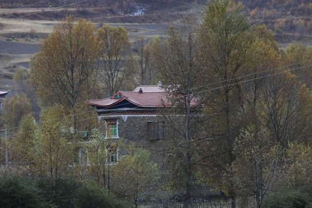 �����¶�����ɫ (21).jpg