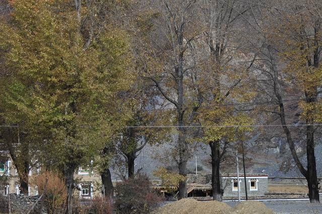 �����¶�����ɫ (22).jpg