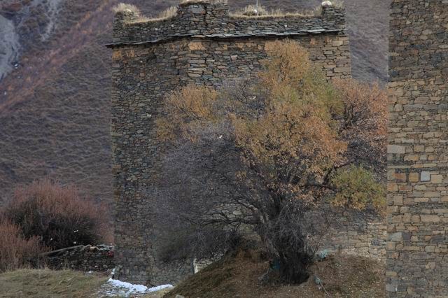 �����¶�����ɫ (23).jpg