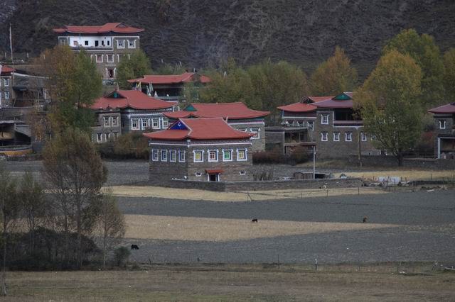 �����¶�����ɫ (24).jpg