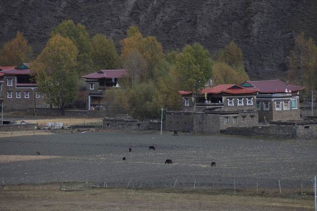 �����¶�����ɫ (25).jpg