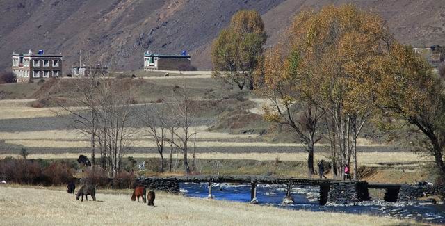 �����¶�����ɫ (28).jpg