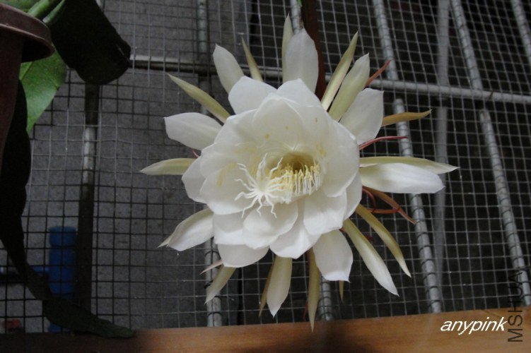 nEO_IMG_DSC06642.jpg