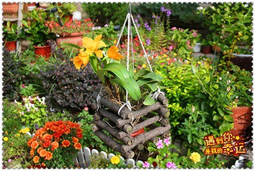 ��Ƭ 067_����.jpg