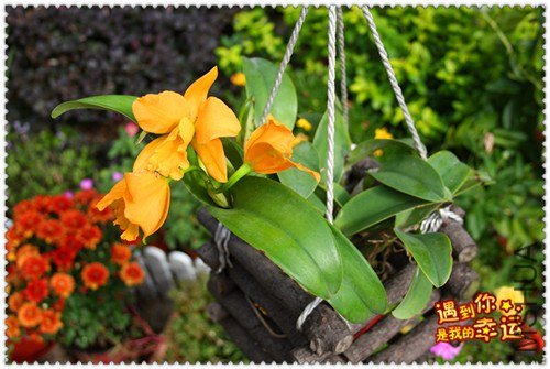 ��Ƭ 069_����.jpg