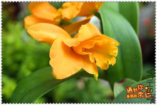 ��Ƭ 072_����.jpg