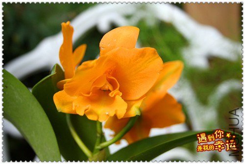 ��Ƭ 073_����.jpg