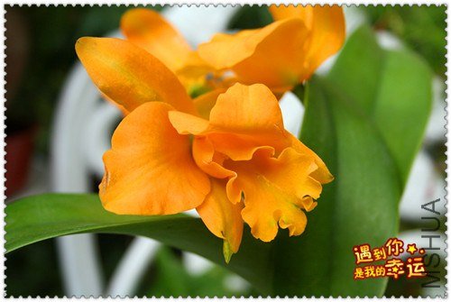 ��Ƭ 077_����.jpg