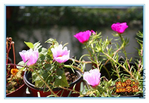 ��Ƭ 017_����.jpg