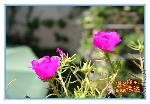 ��Ƭ 017_����1.jpg