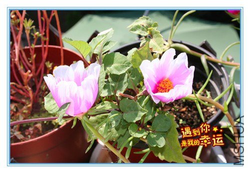 ��Ƭ 017_����2.jpg