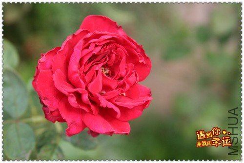 ��Ƭ 052_����.jpg