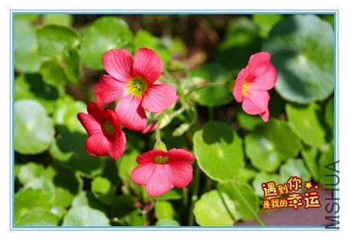 ��Ƭ 030_����2.jpg