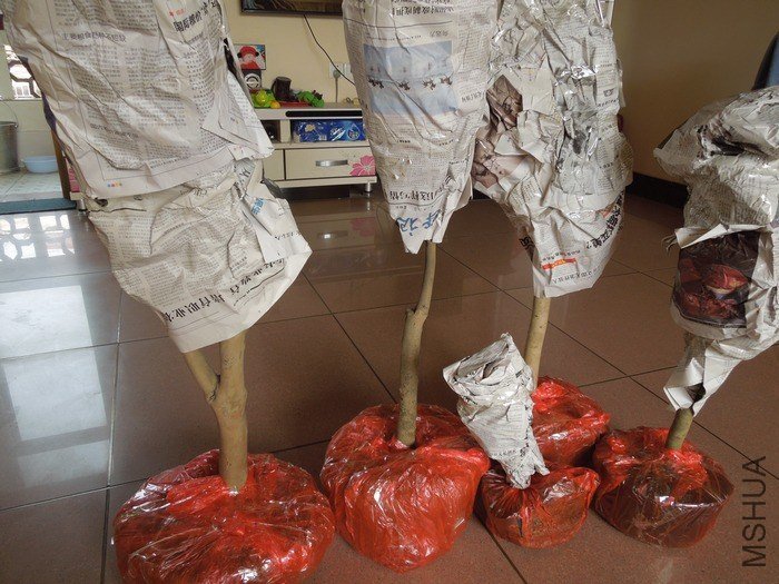 �ڴ��ѾõĲ軨������