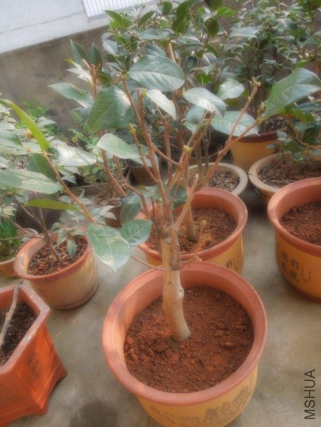 �������