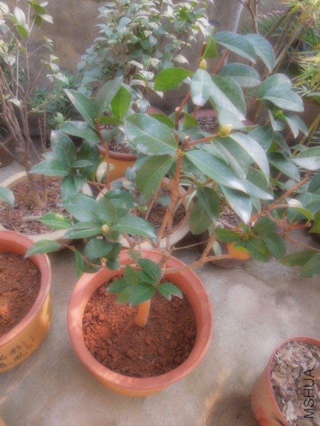 �����Ϲ�