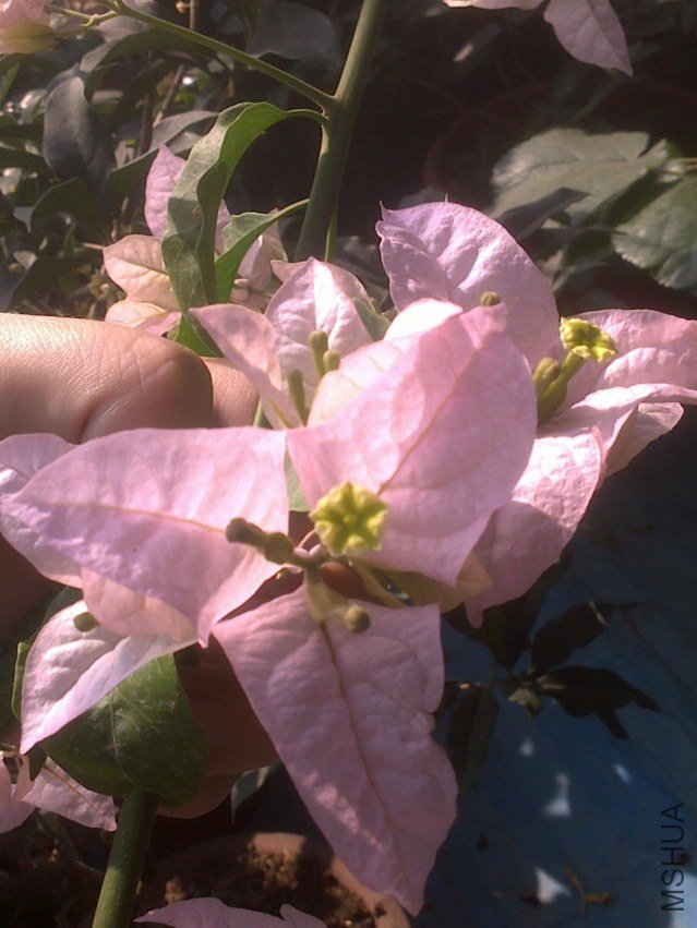 20121011954.jpg