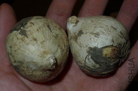 QQ��ͼ20121012004611.jpg