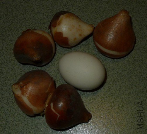 QQ��ͼ20121012004622.jpg