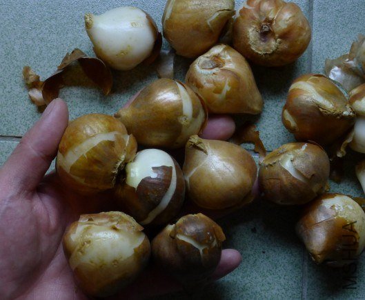 QQ��ͼ20121012010355.jpg