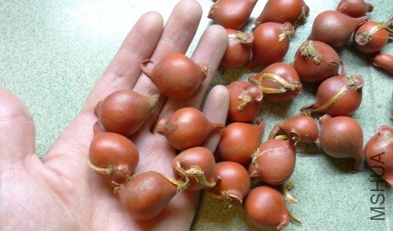 QQ��ͼ20121012010423.jpg