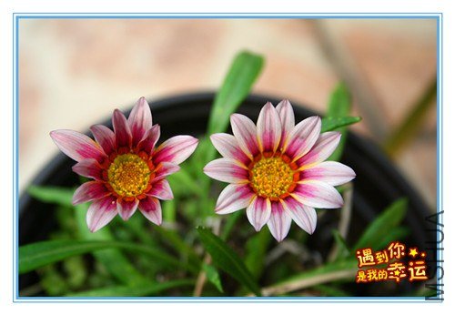 ��Ƭ 048_����.jpg