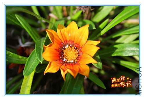 ��Ƭ 049_����.jpg