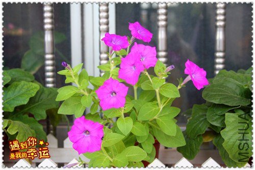 ��Ƭ 168_����.jpg