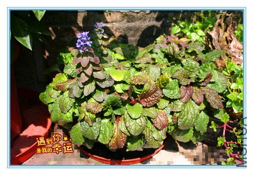 ��Ƭ 165_����.jpg