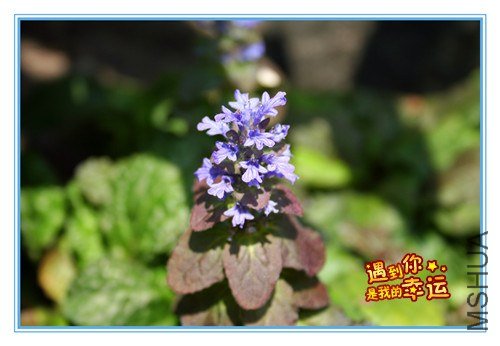 ��Ƭ 166_����.jpg