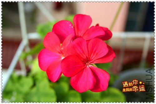 ��Ƭ 012_����.jpg