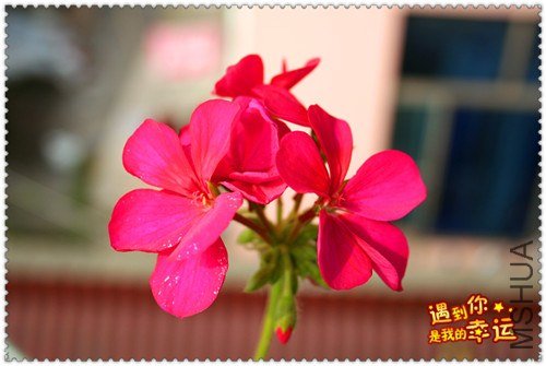 ��Ƭ 014_����.jpg