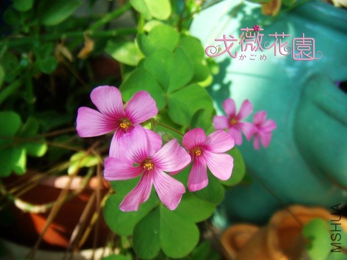 ��ͨ�컨������Ȼ����ͨ������������ǿ��