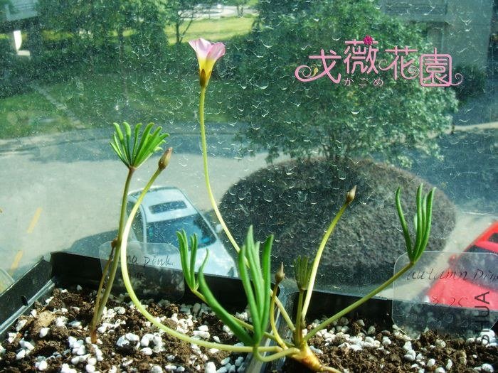 צ�������ã����ǿ��ˣ�����ͽ�����أ�