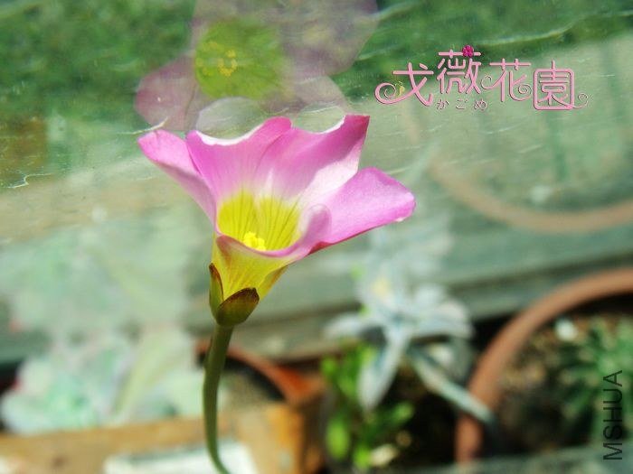 ���ڲ������ϣ����Ӻð�����