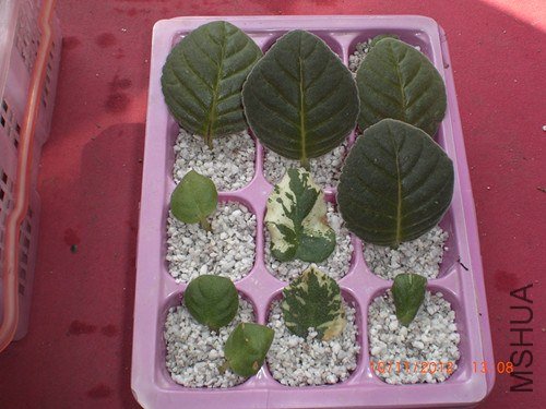 CIMG2574_����.jpg