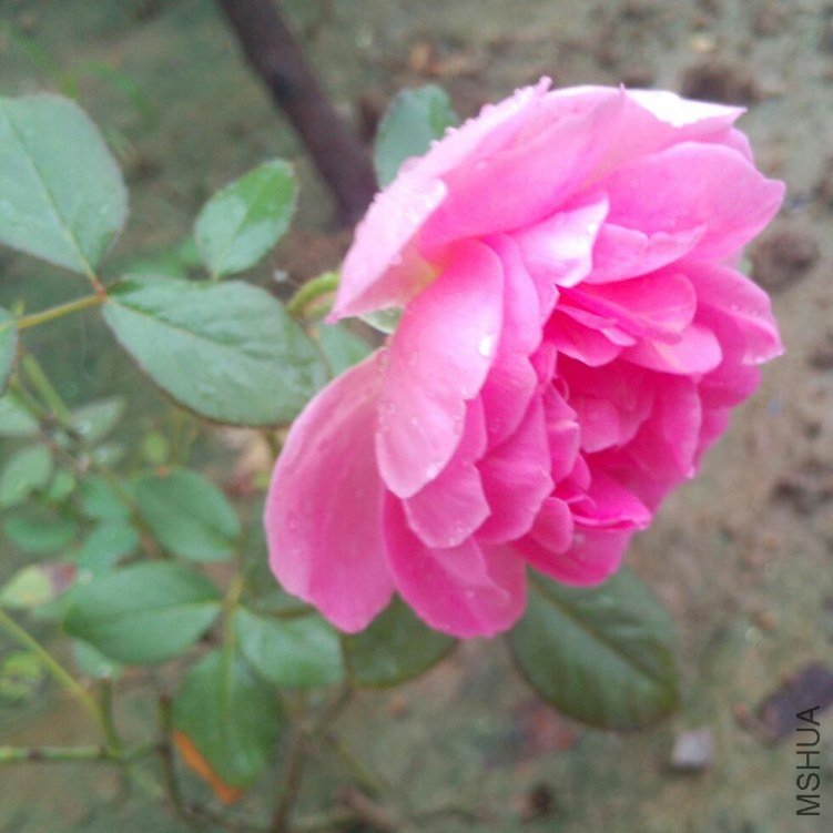 IMG_20120709_173940-1.jpg