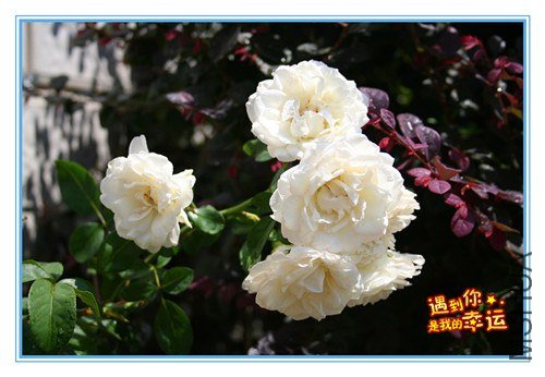 ��Ƭ 028_����.jpg