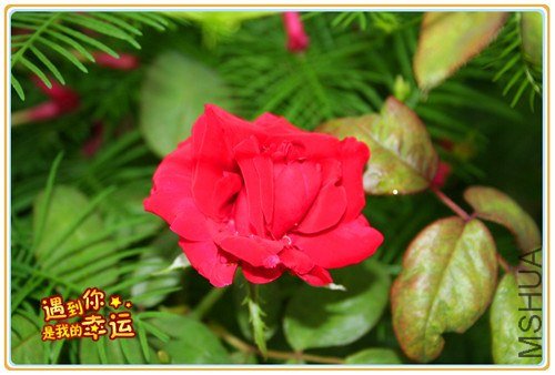 ��Ƭ 028_����1.jpg