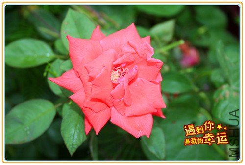 ��Ƭ 028_����2.jpg