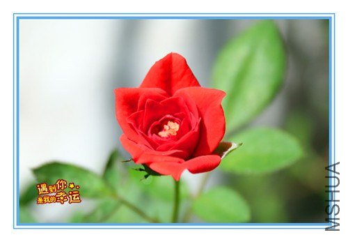 ��Ƭ 028_����3.jpg