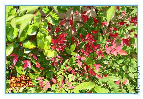 ��Ƭ 041_����.jpg