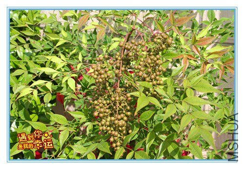 ��Ƭ 042_����.jpg