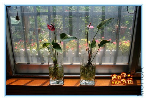 ��Ƭ 045_����1.jpg