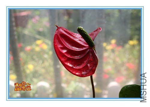 ��Ƭ 046_����.jpg