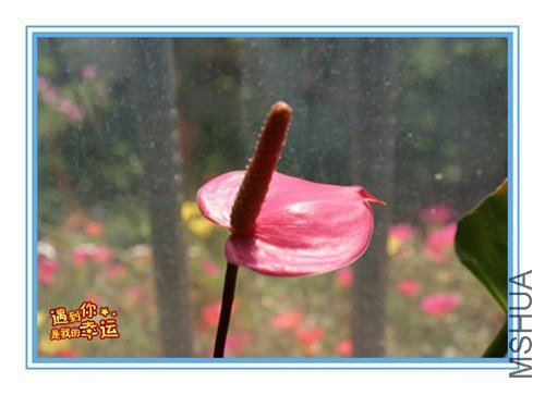 ��Ƭ 047_����.jpg