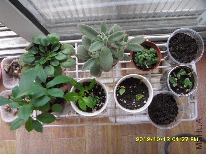 QQ��ͼ20121013132127.jpg