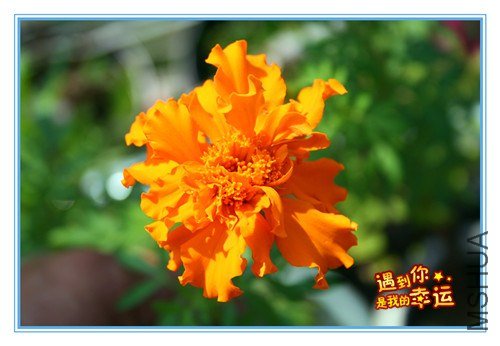 ��Ƭ 038_����.jpg