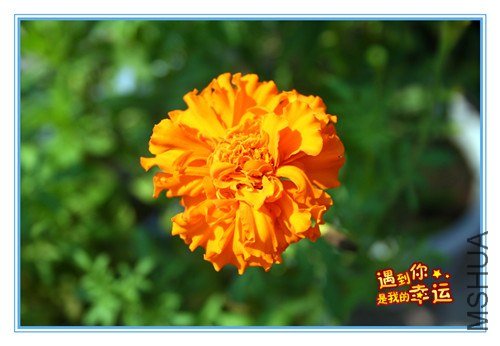 ��Ƭ 040_����.jpg