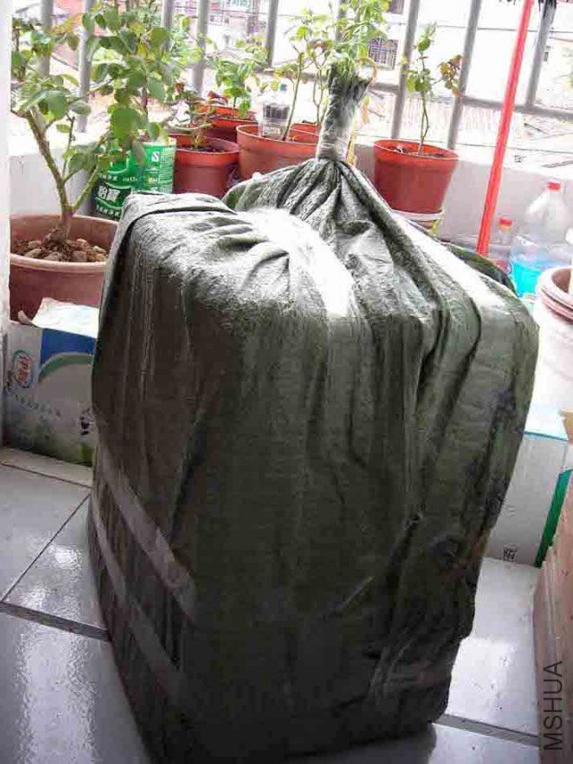 DSCN5332.JPG